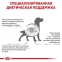 Royal Canin Gastrointestinal Low Fat корм для собак 3