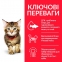 АКЦИЯ 1+2 Hill's Science Plan Kitten сухой корм для котят и кошек в период беременности 300 г 3