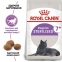 АКЦИЯ Royal Canin Sterilised 7+ сухой корм для стерилизованных котов 8+2 кг 0