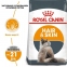 АКЦИЯ Royal Canin Hair Skin Care с проблемной шерстью набор корму для кошек 2 кг + 4 паучи 0