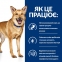 Hill's (Хиллс) Prescription Diet i/d Digestive Care (ActivBiome+) Лечебный корм для поддержания здоровья ЖКТ у собак с курицей и инновационной смесью пребиотических пищевых волокон 2