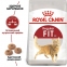 АКЦІЯ Royal Canin Fit 32 сухий корм для дорослих кішок 4 кг + наповнювач catsan 5л 0