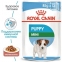 Royal Canin MINI PUPPY (Роял Канан) для щенков мелких пород 2