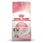 СТАРТОВЫЙ НАБОР Royal Canin Kitten Sterilised корм для котят  0