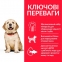 Hill's (Хиллс) Science Plan Puppy Large with Chicken Сухой корм для щенков крупных пород с курицей, 1 кг 0