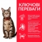 Hills (Хіллс) SP Feline Adult Chicken - Сухий корм для кішок з куркою 3