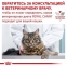 Royal Canin DIABETIC (Роял Канин) консерви для котів при захворюванні на діабет 100г 0
