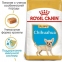 Royal Canin CHIHUAHUA Puppy для щенков поороды Чихуахуа 0