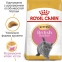 АКЦИЯ Royal Canin Kitten British Shorthair корм для котят британская короткошерстная 2 кг + 4 паучи 0