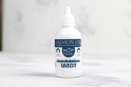 Landy Salmon Oil лососевый жир 100 мл