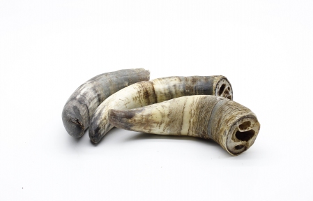 Рог быка сушеный 1шт. Рог быка сушеный 1шт.