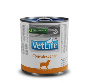 Вологий корм Farmina Vet Life Convalescence для собак для відновлення, 300 г
