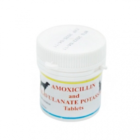 Амоксициллин клавулановая кислота 20 таблеток банка