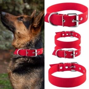 Нашийник Franty брезент одинарний Червоний