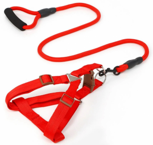 Шлея та повідець для собак, круглий шнур з пінною ручкою, шлея 1,5*30-50 см, повідець 120 см