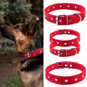 Нашийник Franty брезент подвійний безрозмірний Червоний