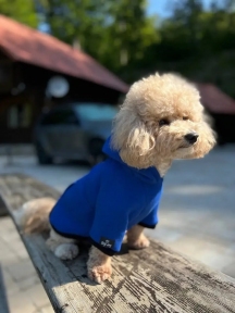 Худи Blue Digi Dog для собак с карманом, Синяя. Худи Blue Digi Dog для собак с карманом, Синяя.