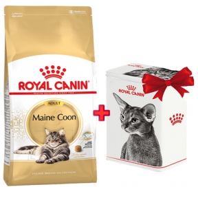 Сухий корм Royal Canin Maine Сооn для Мейн Куна 2кг в подарунок Контейнер