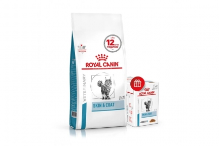 АКЦИЯ Royal Canin Skin Coat Feline - сухой корм для кошек при дерматозах 3,5 кг + 12 пауч