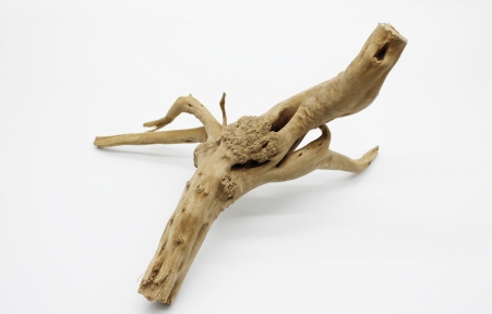 Декорація корінь азалія для акваріума.