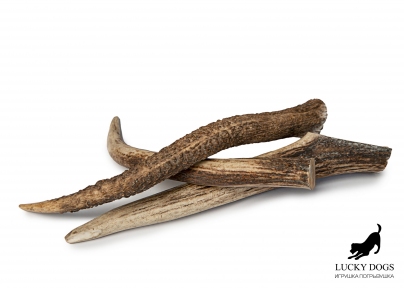 Ріг оленя Lucky Dogs твердий