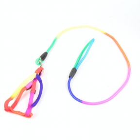 Шлея і повідець комплект 1, 5х12-15/100 см круглий шнур, ручка петля з кольором веселки