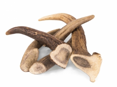 Ласощі для собак, оленячий ріг твердий