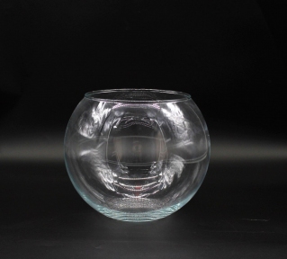 Аквариум Шар Фауна.