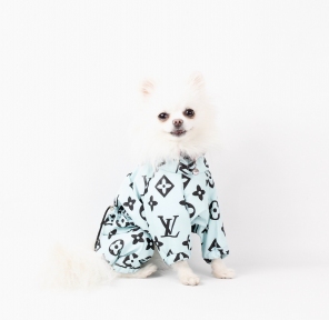 Дождевик Имидж плащевка без подкладки унисекс S 29 см. / 40-45 см. Дождевик Имидж плащевка без подкладки унисекс S 29 см. / 40-45 см.