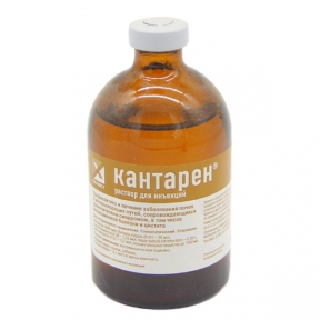 Кантарен-лікування нирок та сечовивідних шляхів