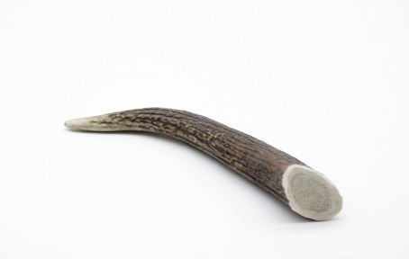 Ріг оленя Lucky dogs Твердий.