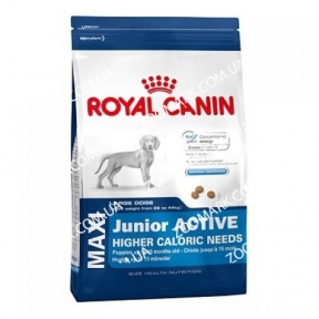 Royal Canin MAXI JUNIOR ACTIVE для активних цуценят курупних порід