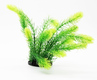 Растение для аквариума 066B, 8х6х25 см - Similar products