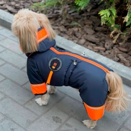 Комбинезон Красавец силикон (мальчик) -  Одежда для собак -   Размер одежды S2  
