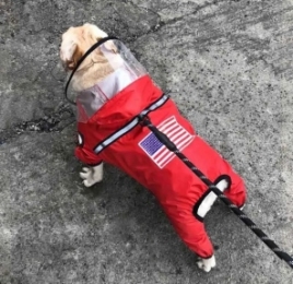 Дождевик USA красный - 