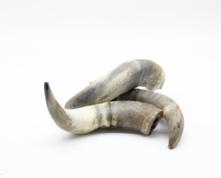 Сушений буйволовий ріг - Similar products