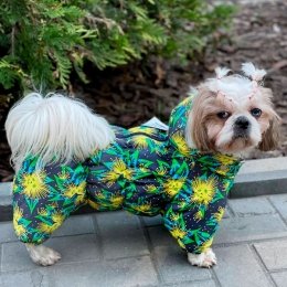 Комбинезон Дейзи силикон (девочка) -  Зимняя одежда для собак 