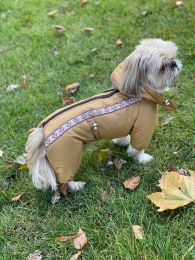 Комбинезон Одис силикон (мальчик) -  Одежда для собак -   Размер одежды S3  