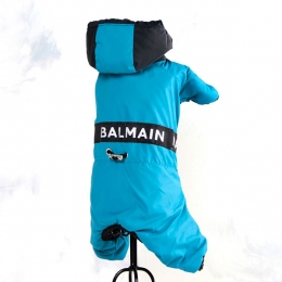 Комбинезон Бальман велсофт (мальчик) -  Одежда для собак -   Размер одежды XS  