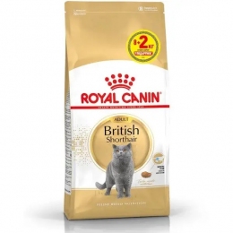 АКЦИЯ Royal Canin British Shorthair Adult Сухой корм для британских короткошерстных котов 8+2 кг -  Сухой корм для кошек -   Для пород: Британская короткошерстная  