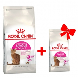2кг + 400гр акція сухий корм Royal Canin FHN exigent savour корм для кішок 10932/11517
