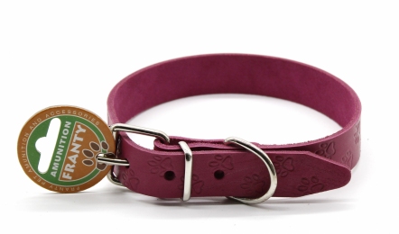 Нашийник Franty Style Paw шкіра Рожевий 25 мм * 36-46 см. -  Нашийники для собак -    