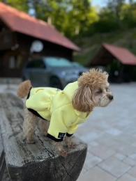 Худі Lemon Digi Dog для собак із кишенею. -  Собаки -    