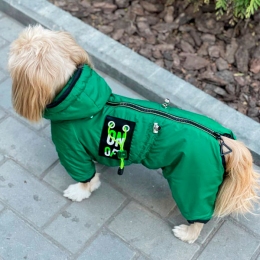 Комбинезон Халк велсофт (мальчик) -  Одежда для собак -   Размер одежды L  