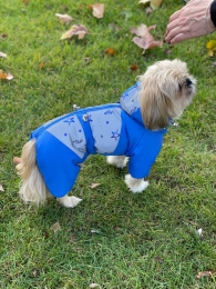 Комбинезон Айк на силиконе (мальчик) -  Одежда для собак -   Размер одежды XS  