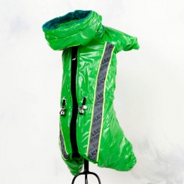 Комбинезон Джой велсофт (мальчик) - Одежда для собак