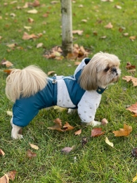 Комбінезон Тайлер на силіконі (хлопчик) -  Зимовий одяг для собак 