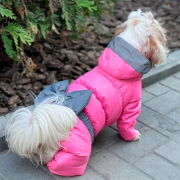 Комбинезон Бантик силикон (девочка) -  Одежда для собак -   Размер одежды S1  