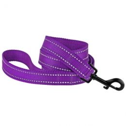 Поводок для собаки ACTIVE нейлоновый со светоотражением Фиолетовый 152 см - Поводки для собак