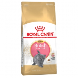 Royal Canin Fbn kitten brit sh 1,6 кг+400г, корм для кошек 11462 Акция -  Сухой корм для кошек -   Для пород: Британская короткошерстная  